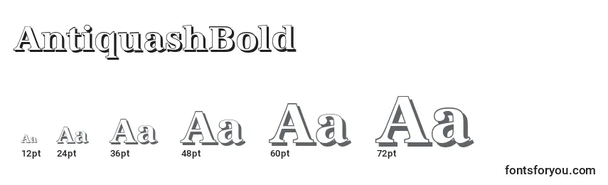AntiquashBold Font Sizes