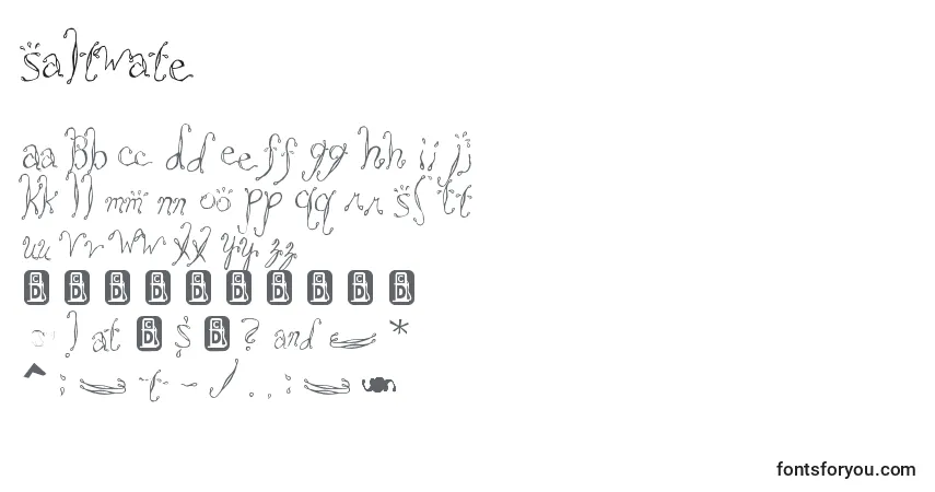 Czcionka Saltwate – alfabet, cyfry, specjalne znaki