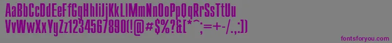 Compact Font – Purple Fonts on Gray Background