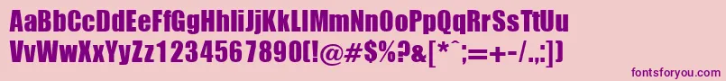 Ignatius Font – Purple Fonts on Pink Background