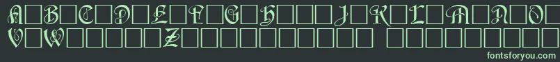 Шрифт HorstcapsCaps.001.001 – зелёные шрифты на чёрном фоне