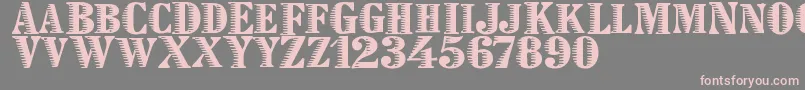 Zebraesq-Schriftart – Rosa Schriften auf grauem Hintergrund