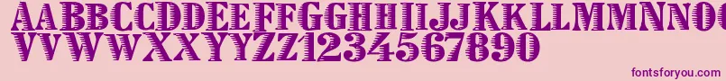 Zebraesq Font – Purple Fonts on Pink Background