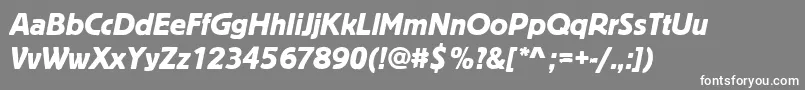 BlocktregItalic Font – White Fonts on Gray Background