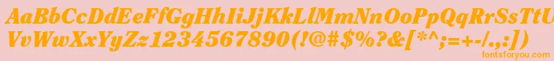 ItcClearfaceLtBlackItalic Font – Orange Fonts on Pink Background