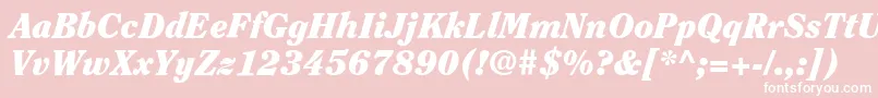 ItcClearfaceLtBlackItalic Font – White Fonts on Pink Background