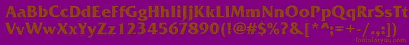 FrizQuadrataBold Font – Brown Fonts on Purple Background