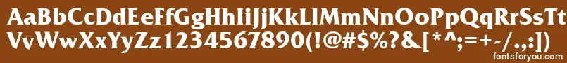 フォントFrizQuadrataBold – 茶色の背景に白い文字