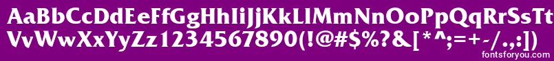 フォントFrizQuadrataBold – 紫の背景に白い文字