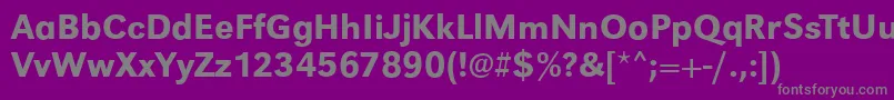 フォントGroteskstdMedium – 紫の背景に灰色の文字