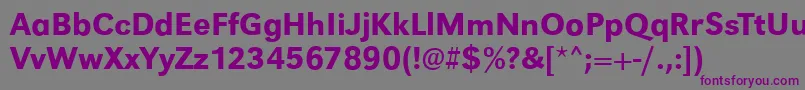 GroteskstdMedium Font – Purple Fonts on Gray Background