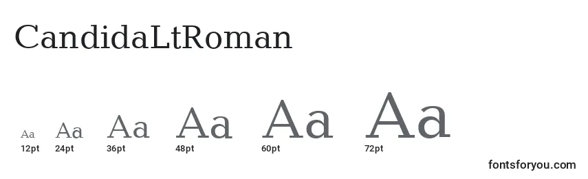 CandidaLtRoman Font Sizes