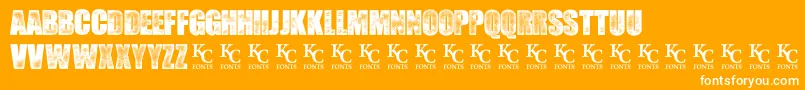 SeedyMotelDemo Font – White Fonts on Orange Background
