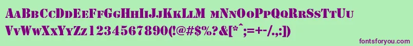Shablonc Font – Purple Fonts on Green Background
