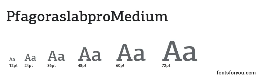 Размеры шрифта PfagoraslabproMedium