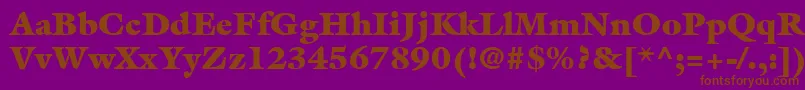 ItcGalliardLtUltra Font – Brown Fonts on Purple Background