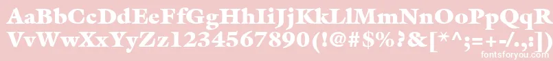 ItcGalliardLtUltra Font – White Fonts on Pink Background
