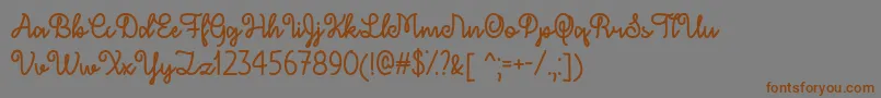 DecemberSkyTtf Font – Brown Fonts on Gray Background