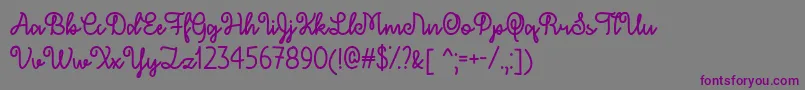 DecemberSkyTtf Font – Purple Fonts on Gray Background
