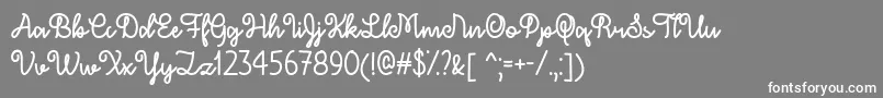 DecemberSkyTtf Font – White Fonts on Gray Background