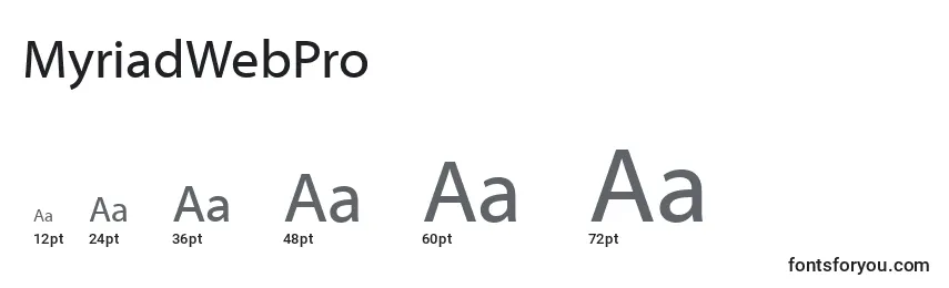 Размеры шрифта MyriadWebPro