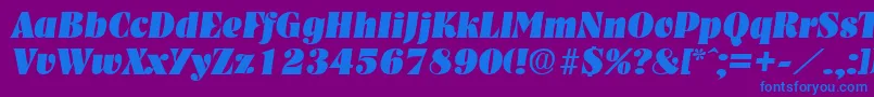 NashvilleHeavyita Font – Blue Fonts on Purple Background