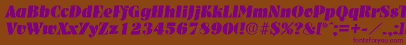 NashvilleHeavyita Font – Purple Fonts on Brown Background