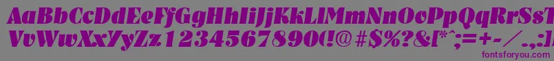 NashvilleHeavyita Font – Purple Fonts on Gray Background