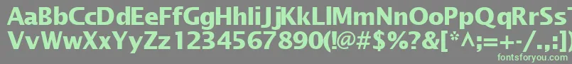 MachadosanssskBold Font – Green Fonts on Gray Background
