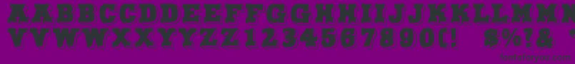 NorthFace Font – Black Fonts on Purple Background