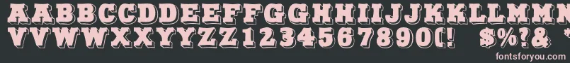 NorthFace Font – Pink Fonts on Black Background