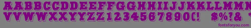 NorthFace Font – Purple Fonts on Gray Background