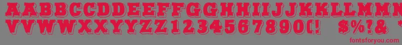 NorthFace Font – Red Fonts on Gray Background