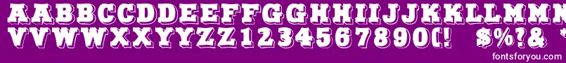 NorthFace Font – White Fonts on Purple Background