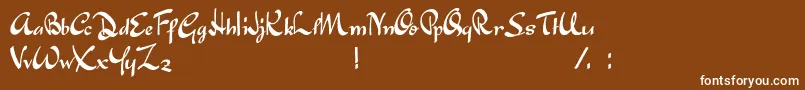 JapaneseTourist Font – White Fonts on Brown Background