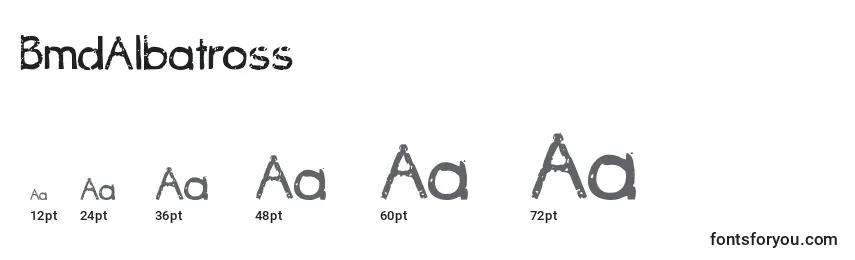 Größen der Schriftart BmdAlbatross