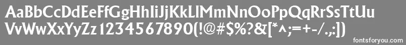 AdelonBold Font – White Fonts on Gray Background