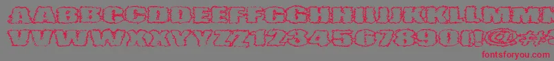 VtcAngorachikOutline Font – Red Fonts on Gray Background