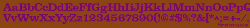 NewslineSfBold Font – Purple Fonts on Brown Background