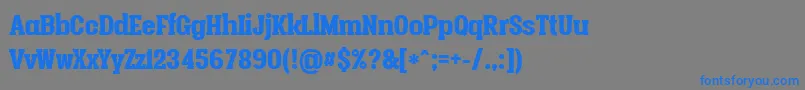 Vacerserifblackpersonal Font – Blue Fonts on Gray Background