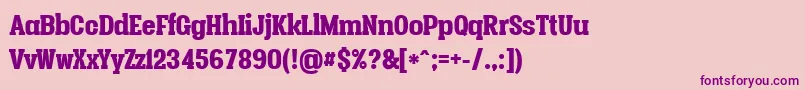 Vacerserifblackpersonal Font – Purple Fonts on Pink Background