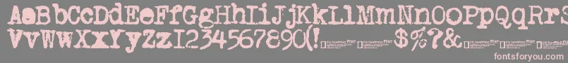 OldTypewriter2.0 Font – Pink Fonts on Gray Background