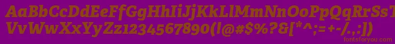 AdelleCyrillicExtraboldItalic Font – Brown Fonts on Purple Background