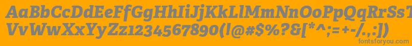AdelleCyrillicExtraboldItalic Font – Gray Fonts on Orange Background