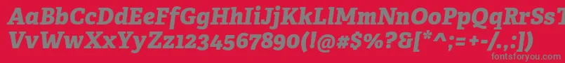AdelleCyrillicExtraboldItalic Font – Gray Fonts on Red Background