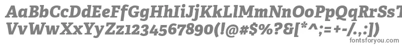 フォントAdelleCyrillicExtraboldItalic – 白い背景に灰色の文字