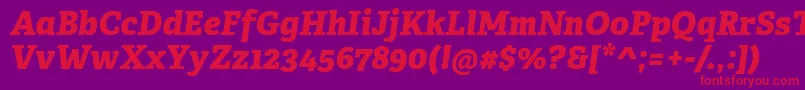 AdelleCyrillicExtraboldItalic Font – Red Fonts on Purple Background