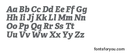 Review of the AdelleCyrillicExtraboldItalic Font