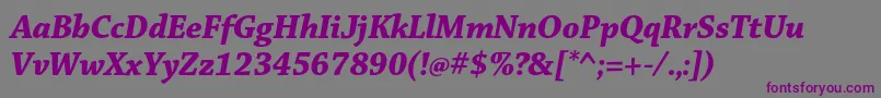 ChaparralproBolditdisp Font – Purple Fonts on Gray Background