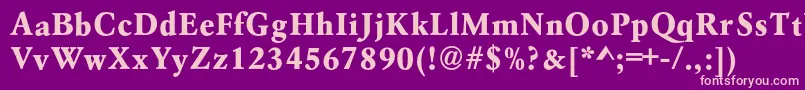 Azgaramondextraboldc Font – Pink Fonts on Purple Background